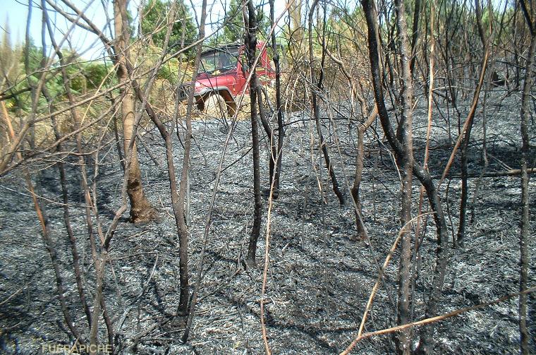 incendio Tenerife 4x4